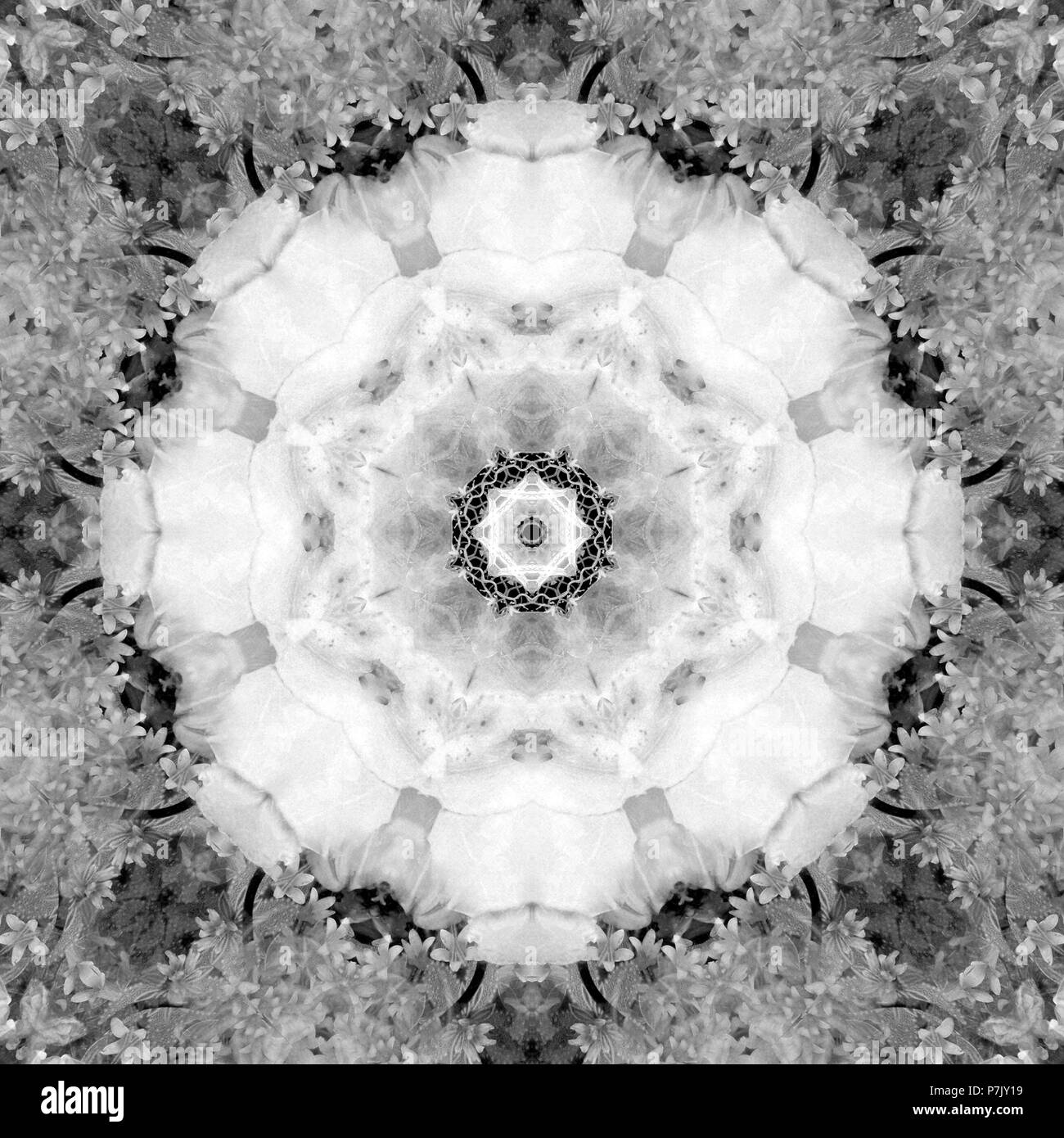 Flower Mandala, composing, white, gray, Stock Photo