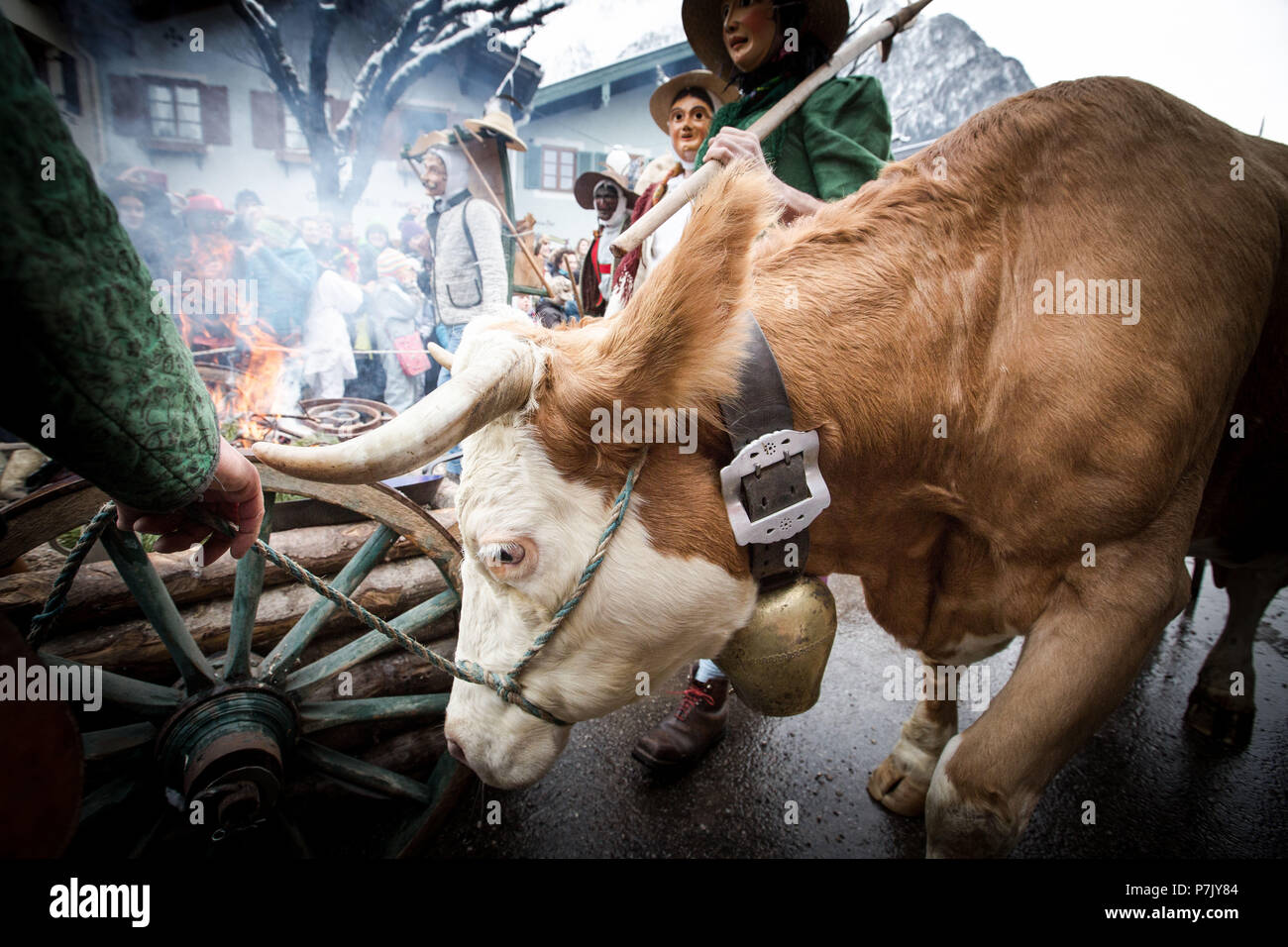 Germany, Bavaria, Mittenwald, carnival procession, Kraxenmandl, cart