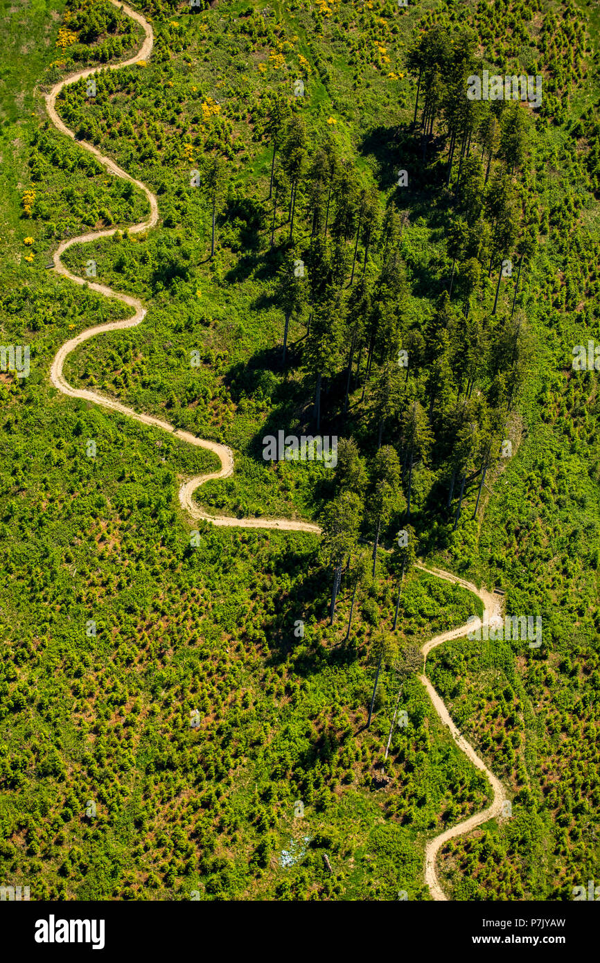 Looped mountain path at the hochheidehutte in niedersfeld hi-res stock ...
