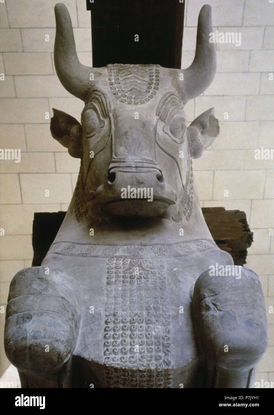 Bull capital of a column from audience hall of the Palace of Darius I. Apadana. Susa. Iraq. Achaemenid Empire. Near Eastern, c. 510 BC. Louvre Museum. Paris, France. Stock Photo