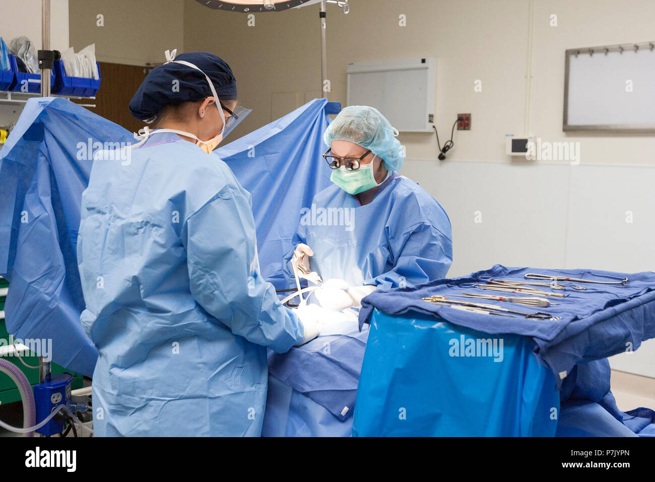 Surgical Procedure Performed In Operating Room Stock Photo