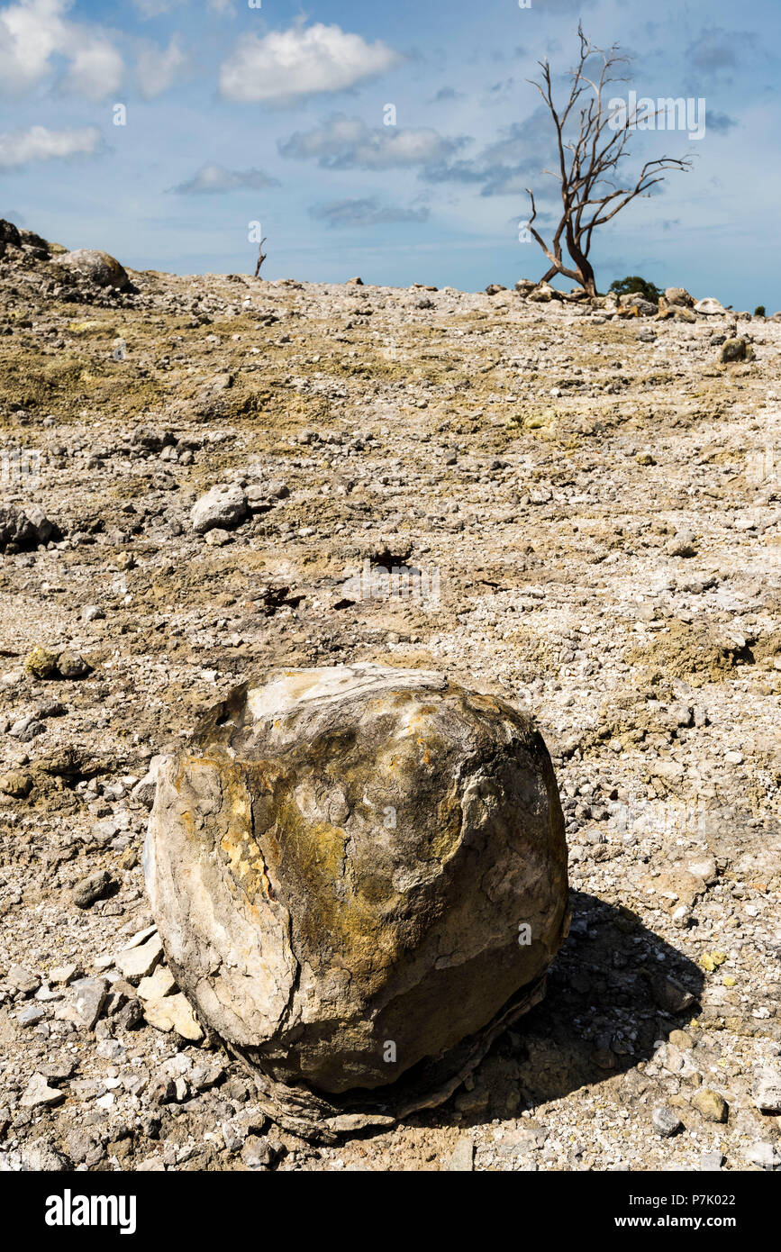 世界に1つ◼️超カッコイイまん丸な溶岩石の金彩ロックアート『オクトパシスタ』 Magma rock hi-res stock photography and images - Alamy
