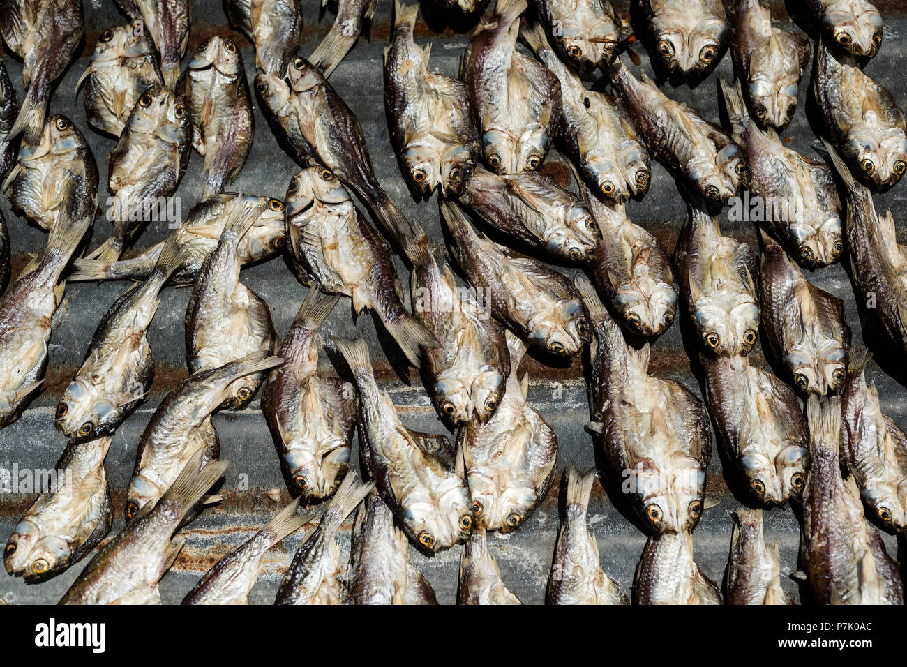 Dried fish on an asian market Stock Photo