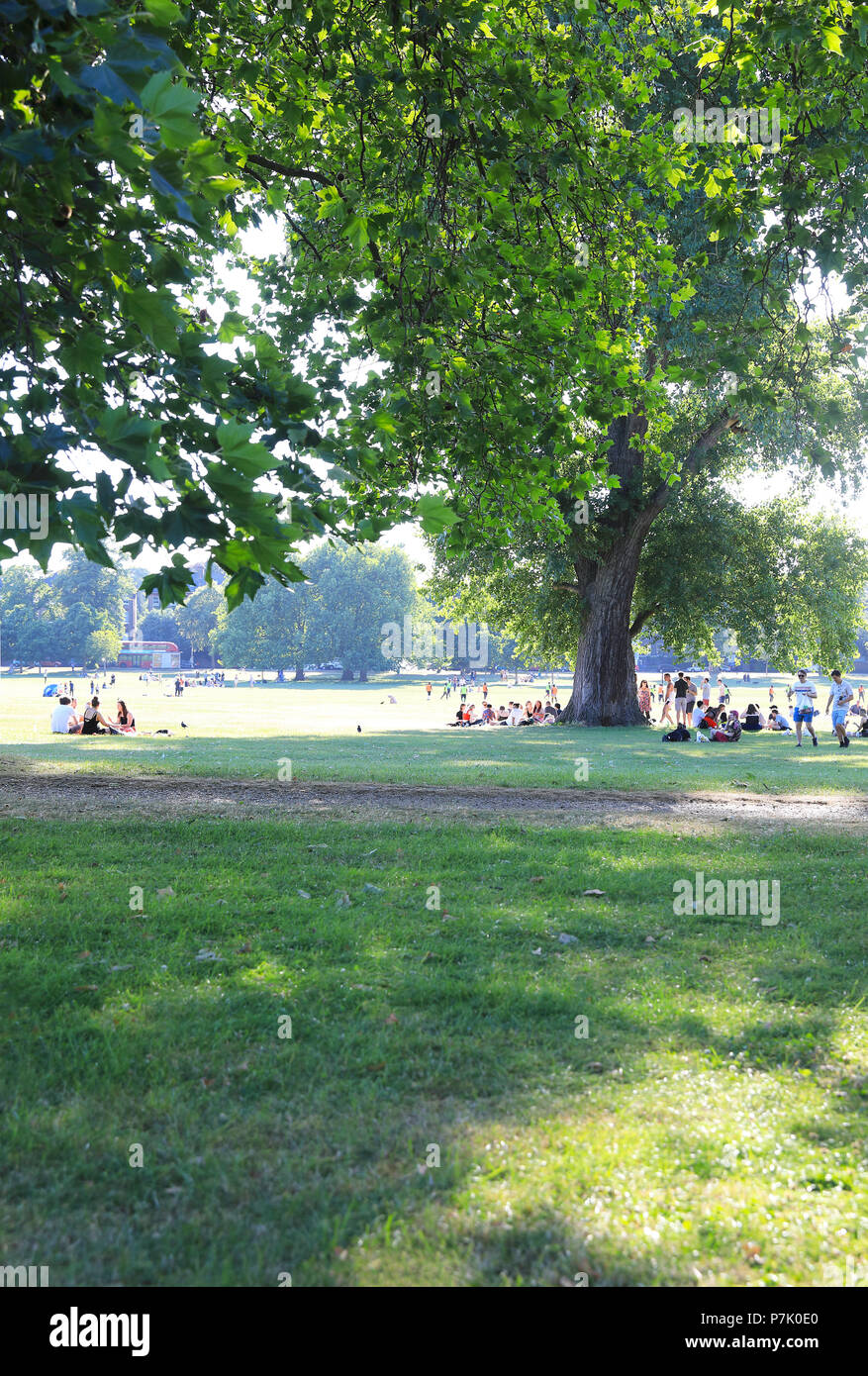 Popular Peckham Rye Common on a sunny, summer's day, in Southwark in south London, England, UK Stock Photo