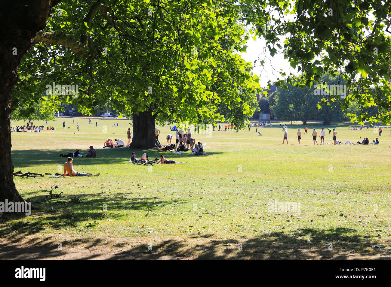 Popular Peckham Rye Common on a sunny, summer's day, in Southwark in south London, England, UK Stock Photo