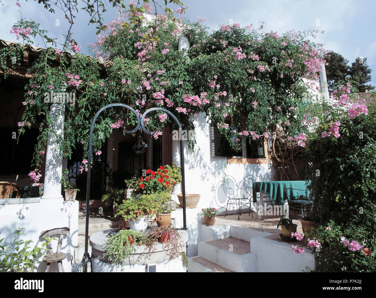 Pink climbing roses on traditional single-storey Mallorcan house with table and chairs on patio Stock Photo