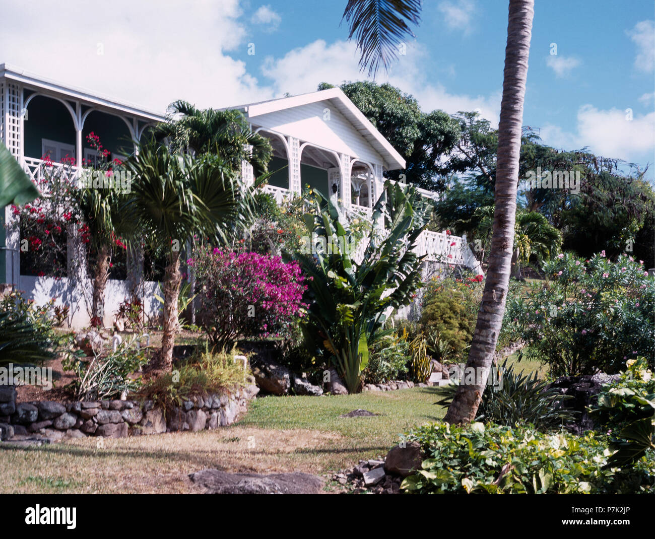 Palm trees and exotic shrubs in garden in front of traditional house in the West Indies Stock Photo
