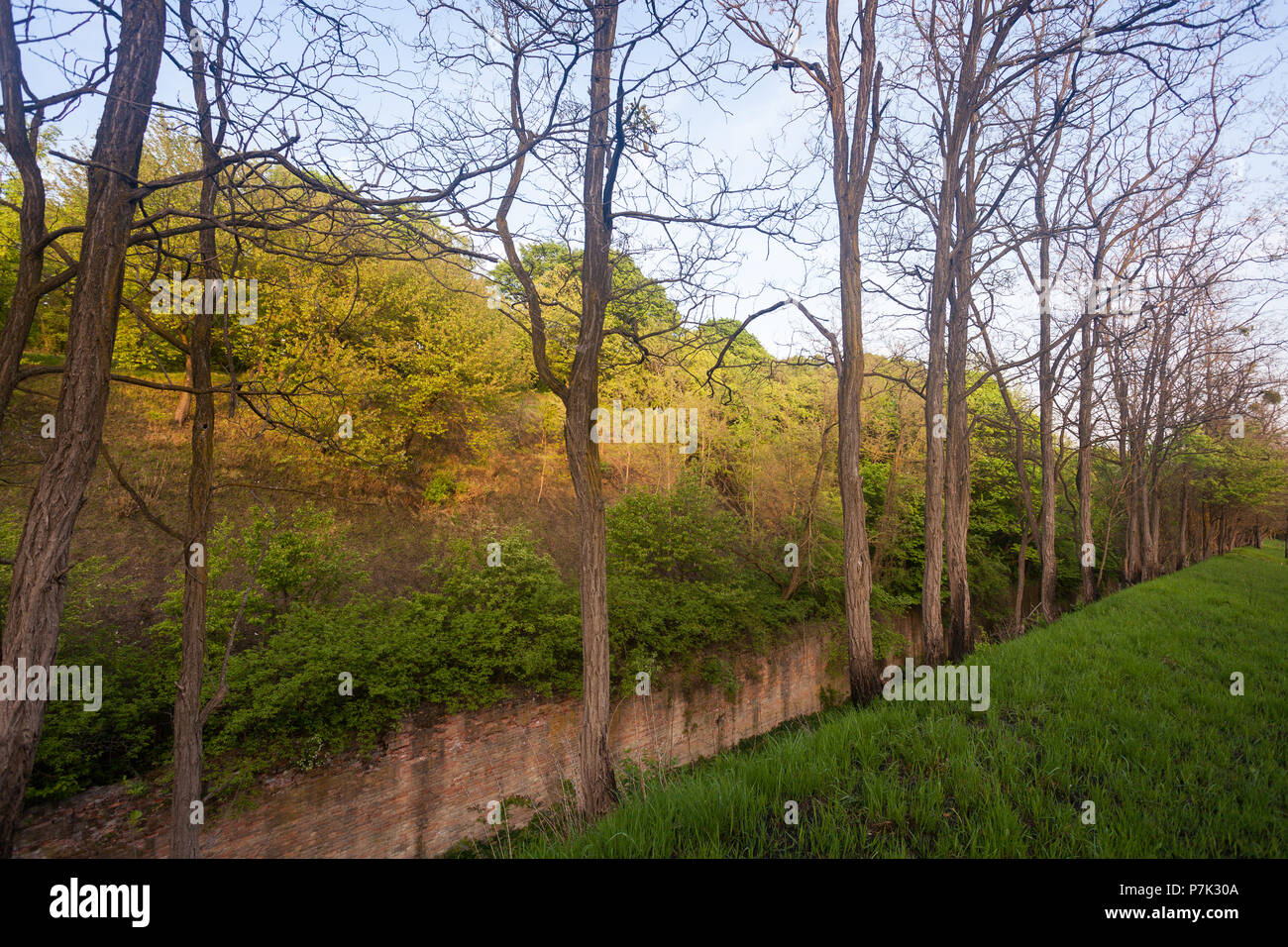 Green overgrown old bricks hi-res stock photography and images - Alamy