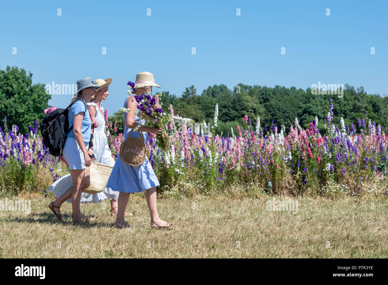 Photographer and models with Delphiniums grown in a field at the Real Flower Petal Confetti company flower fields in Wick, Pershore, UK Stock Photo