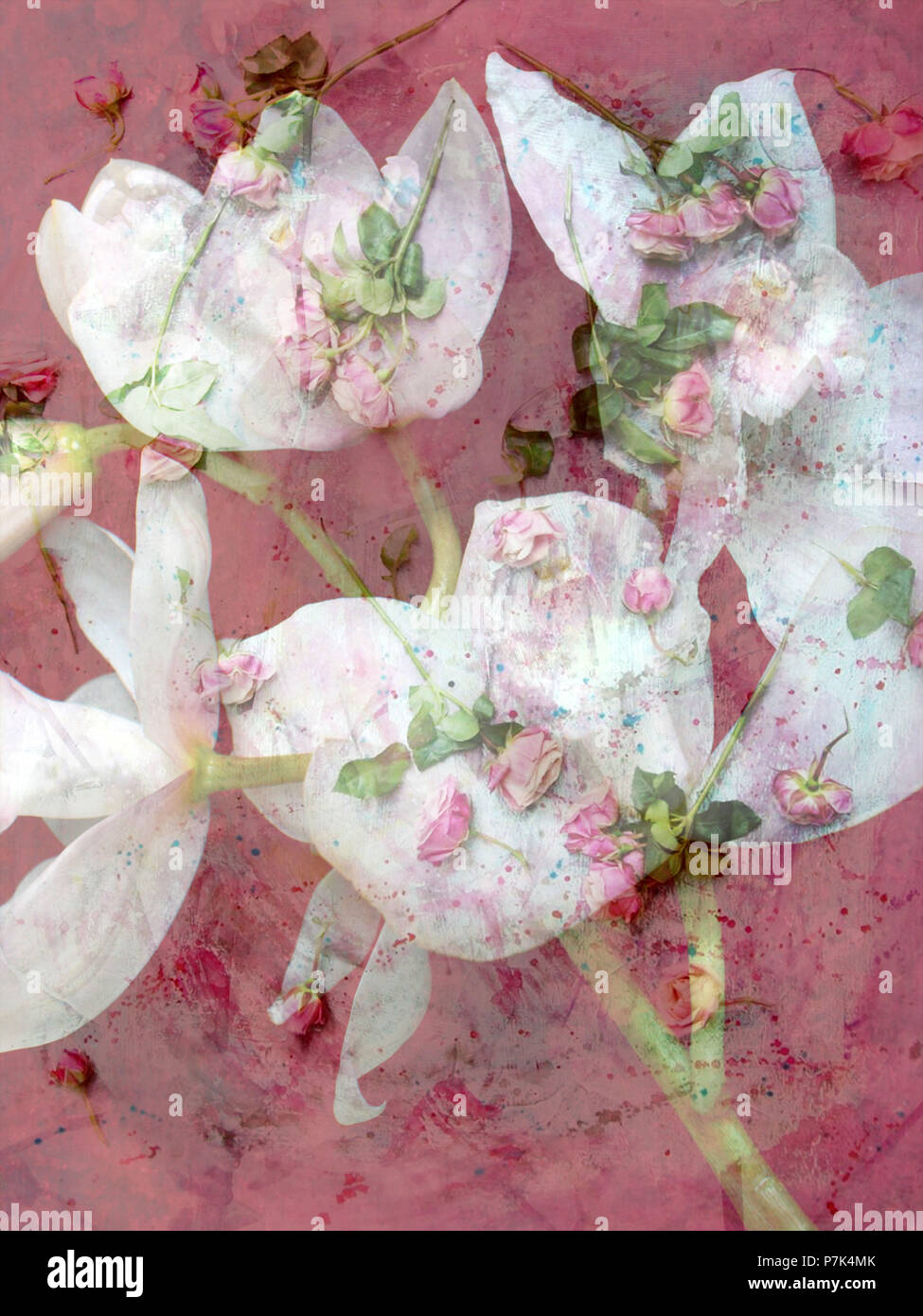 Photomontage of various flowers, pink, Stock Photo