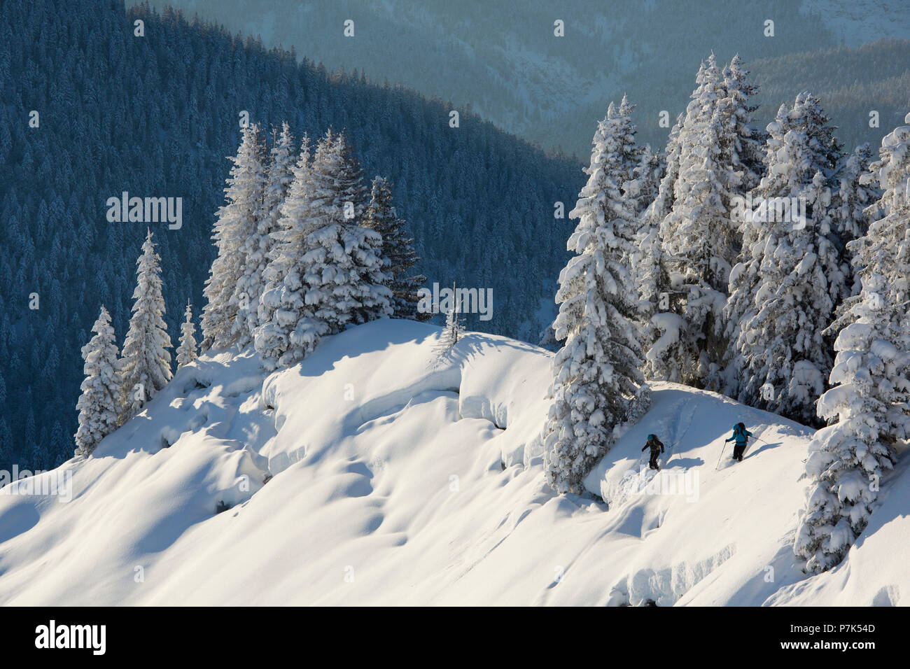 ski tour at the Schönberg, close Lenggries, Bavarian Prealps, Upper