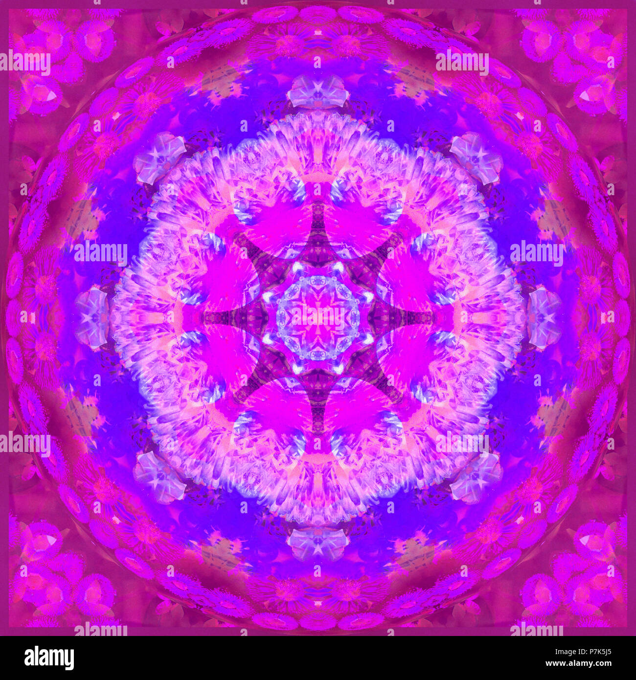 Photographic flower mandala Stock Photo - Alamy