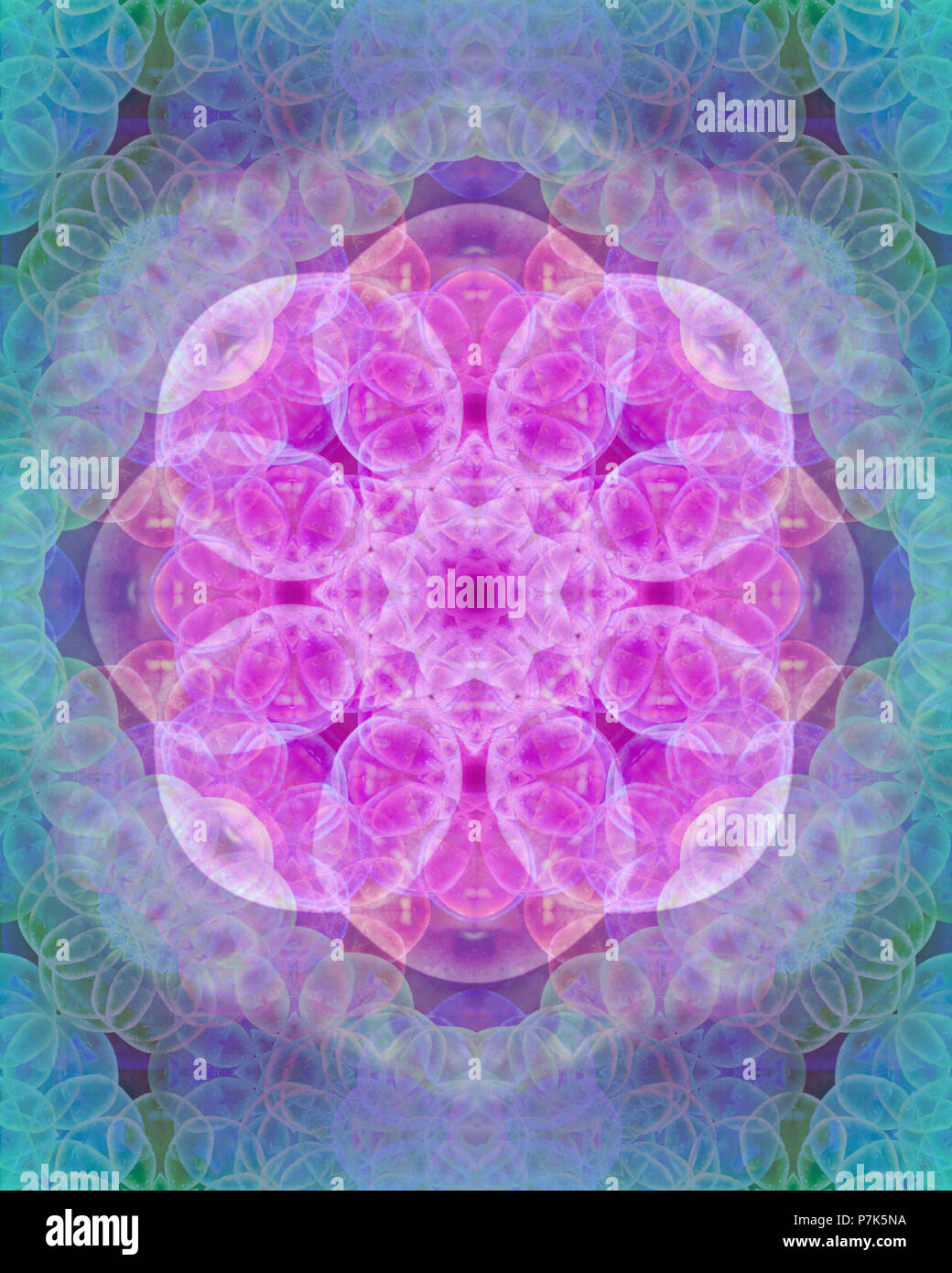 Photographic flower mandala Stock Photo - Alamy