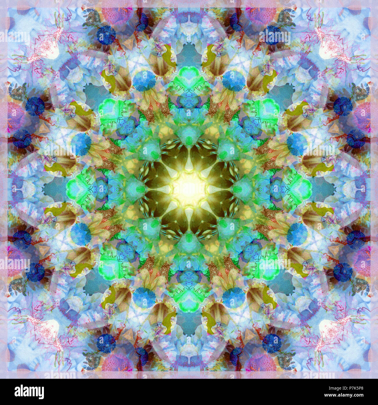 Photographic flower mandala Stock Photo - Alamy