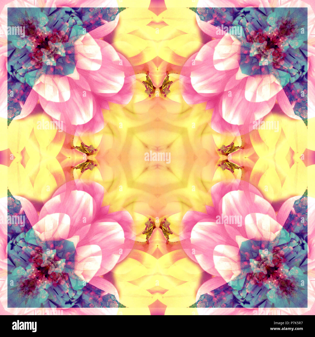 Photographic flower mandala Stock Photo - Alamy