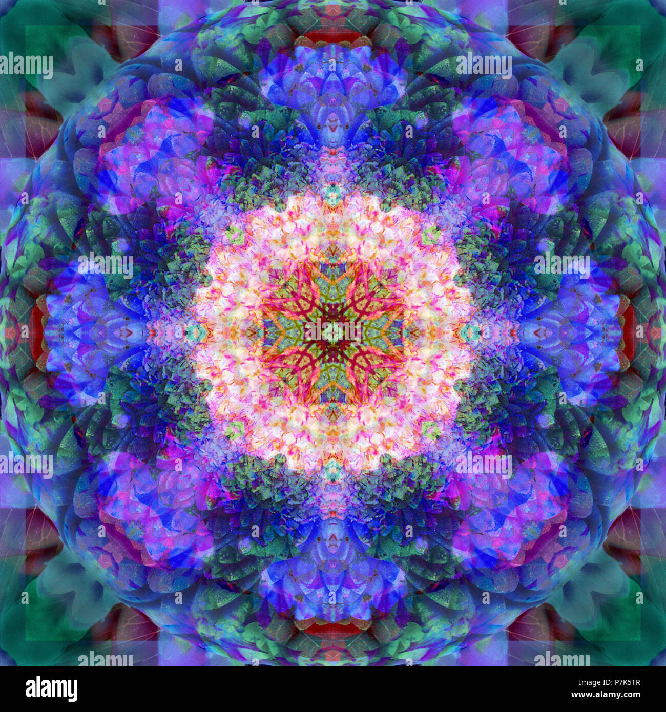 Photographic flower mandala Stock Photo - Alamy