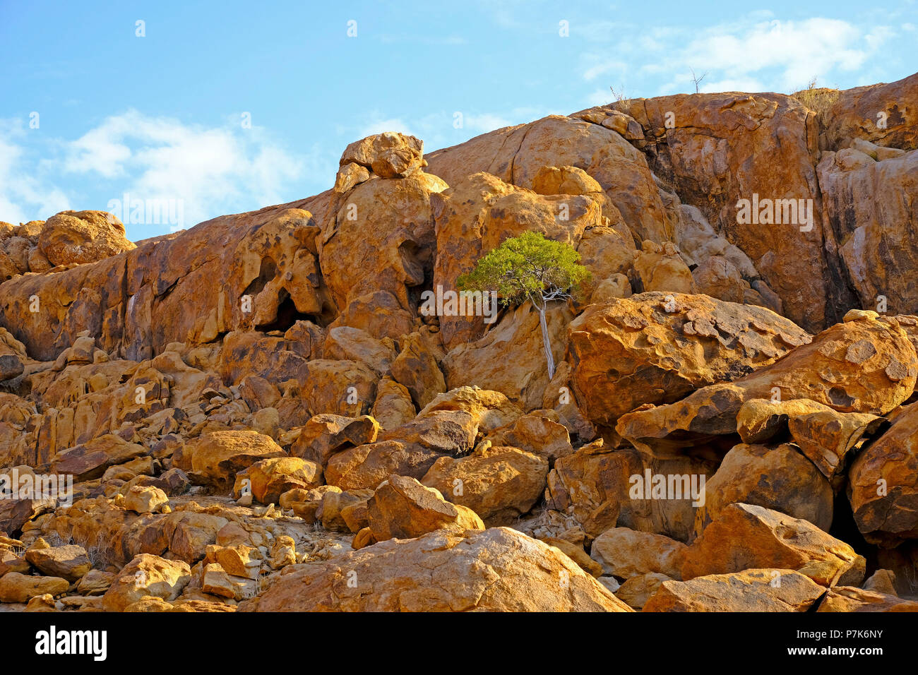 rugged granite rocks with hill of slip rock and tree in the rock, Brandberg area in Namibia, Damaraland Stock Photo
