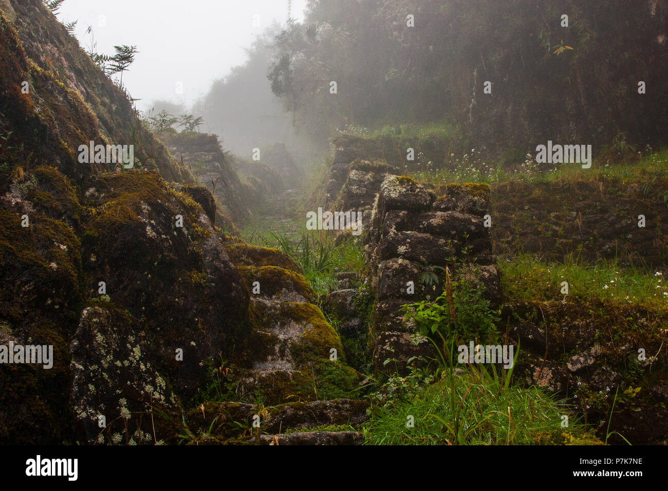 Inca Trail trekking path with ruins in the wild jungle with fog. Peru. South America. No people. Stock Photo