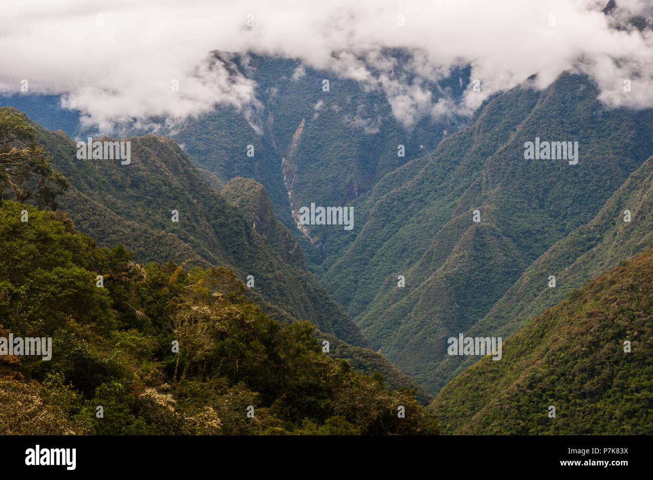 Clouds over the green valley of the Andes in Peru along the Inca Trail ...