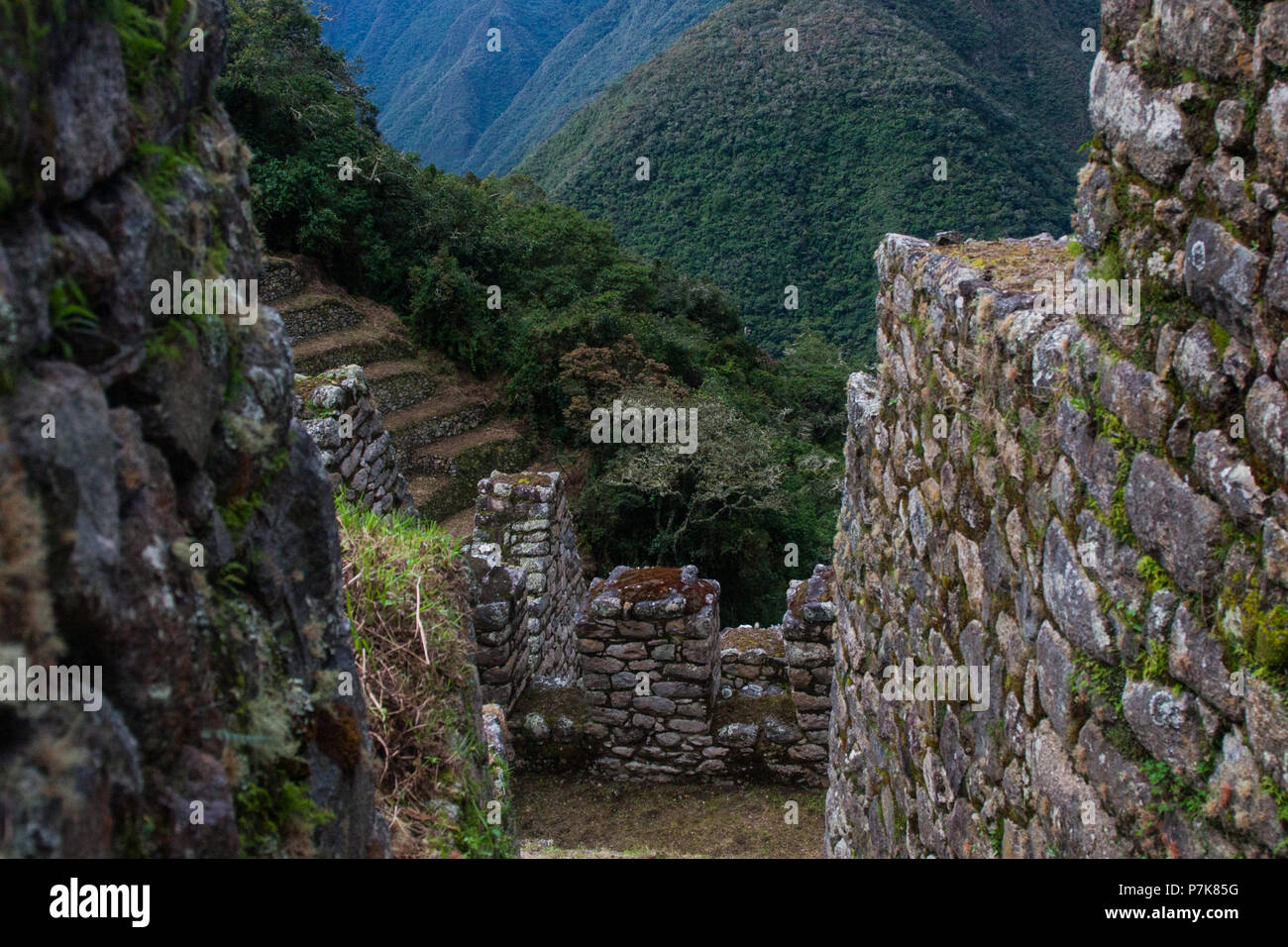 Inca ruins with farming terraces on the top of a wild mountain in the ...
