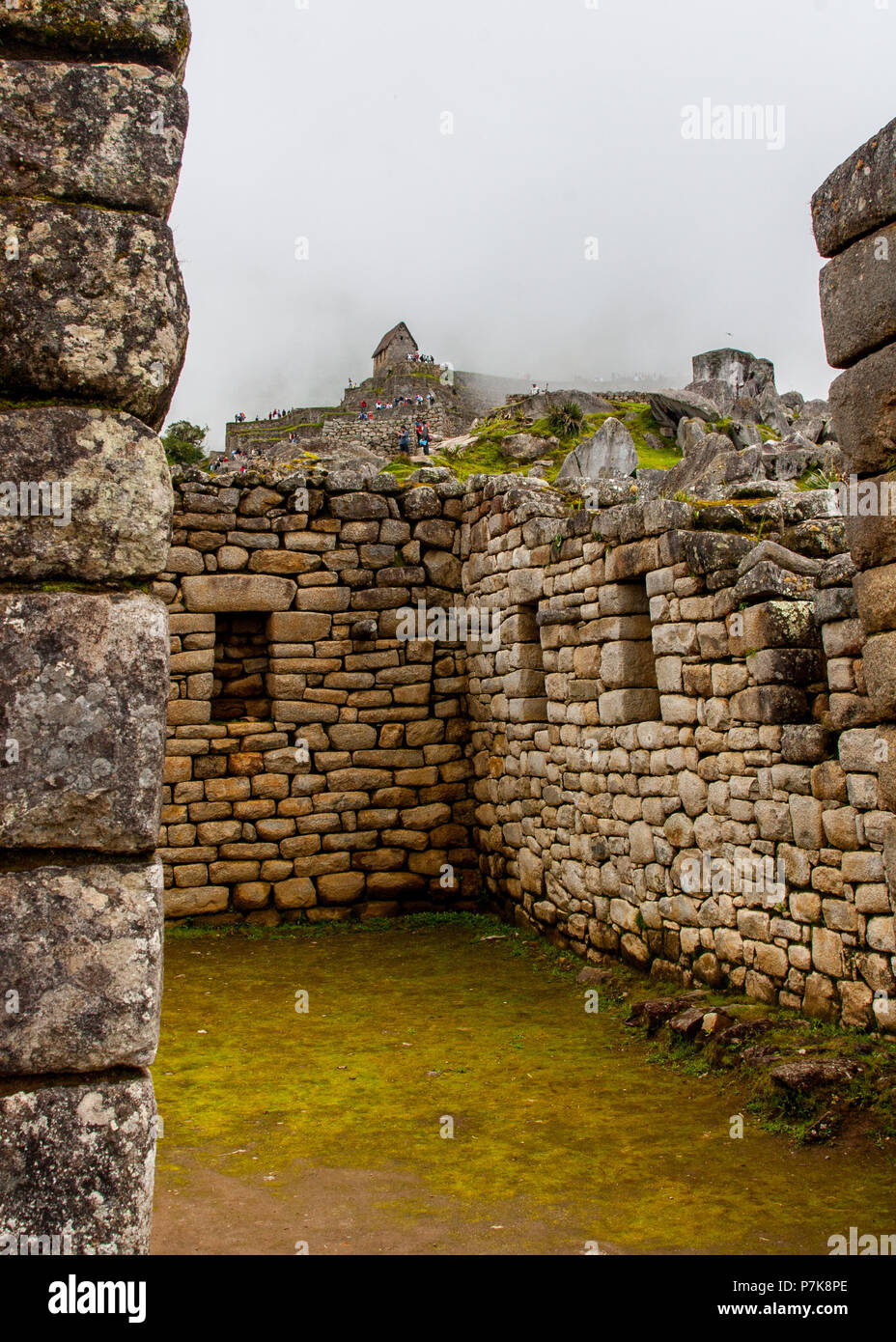 Vertical view of Machu Picchu stone ruins lost in the wild nature of ...