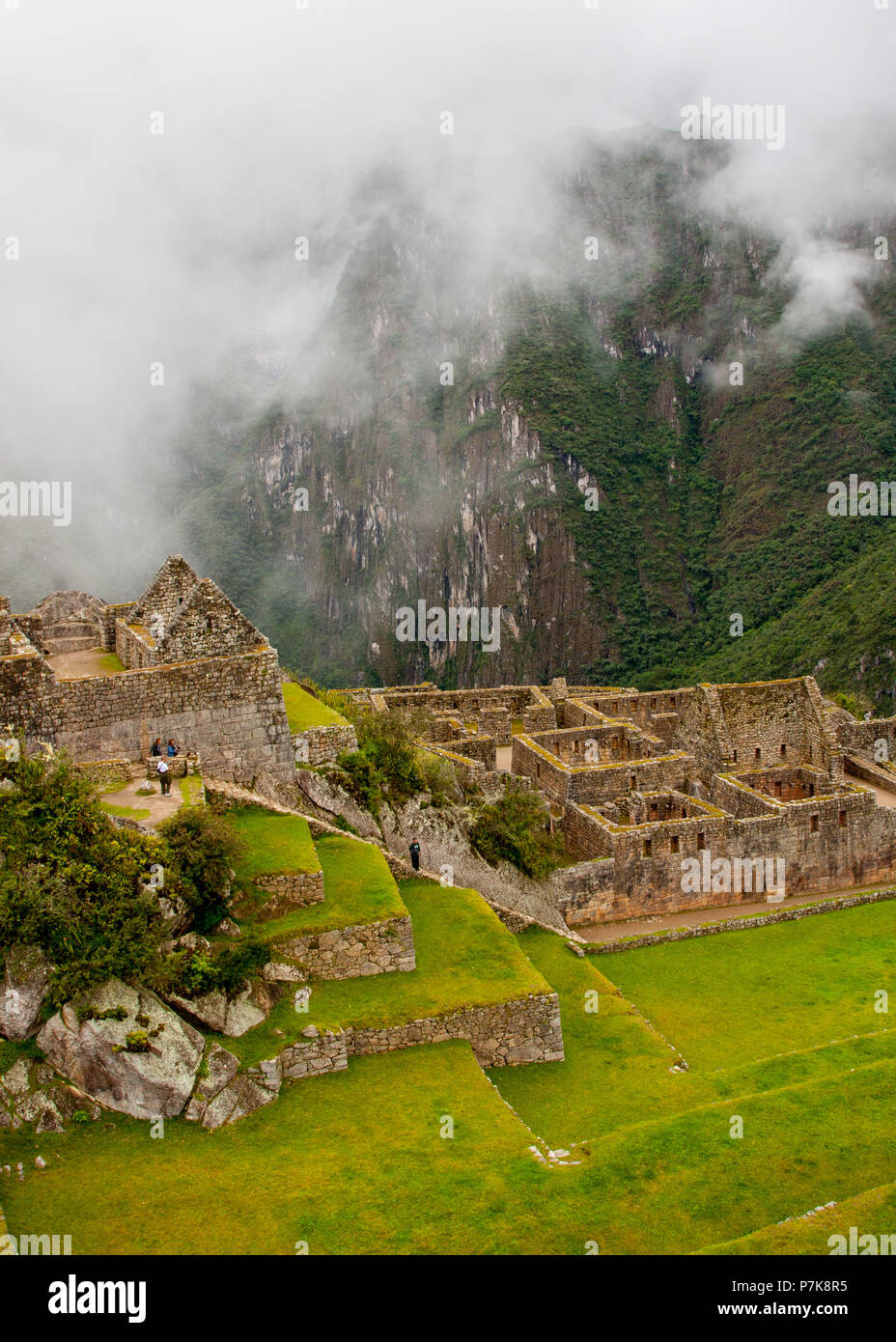 Vertical view of Machu Picchu stone ruins lost in the wild nature of ...
