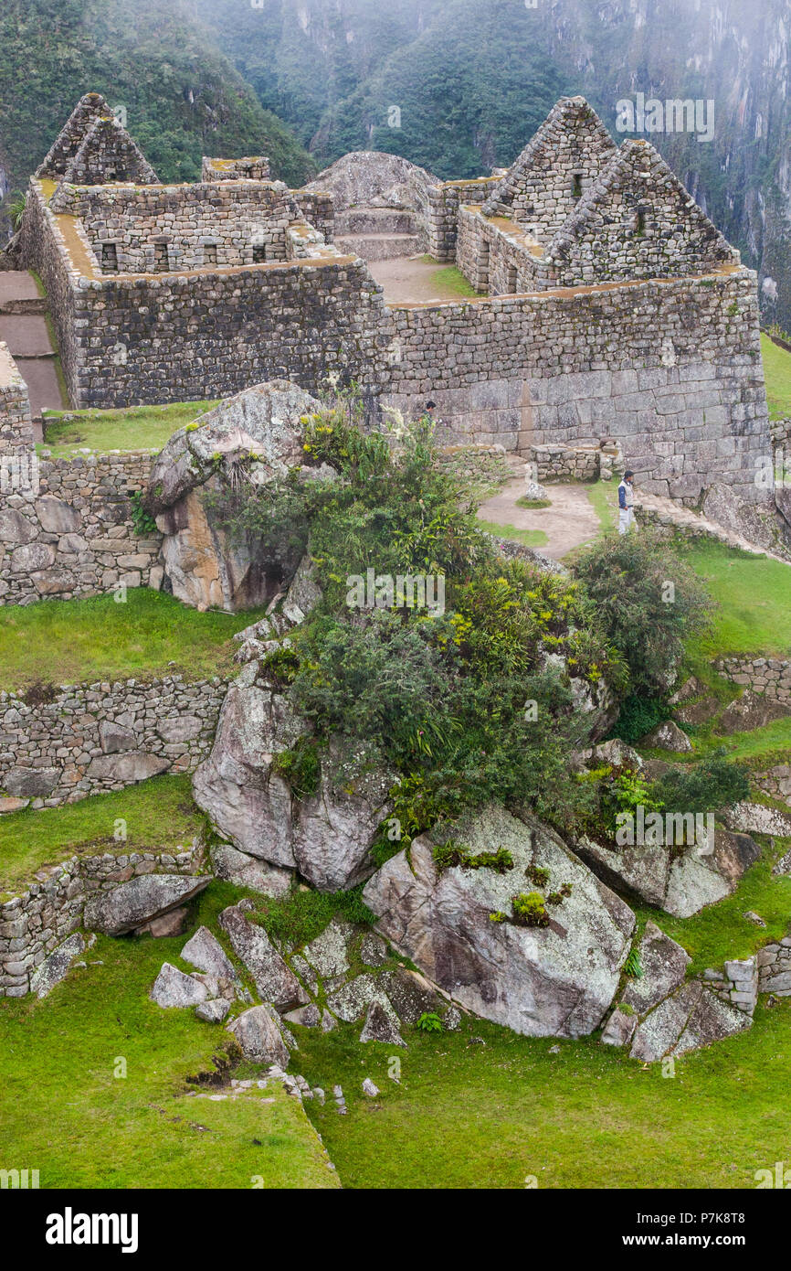 Vertical view of Machu Picchu stone ruins lost in the wild nature of ...