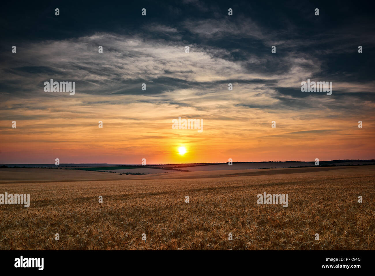 beautiful sunset is in the whetaen field, colorful sky with clouds Stock Photo