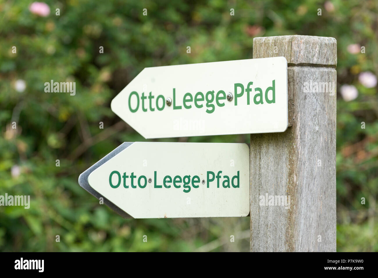 Germany, Lower Saxony, East Frisia, Juist, the Otto Leege Trail is an ecological / artistic nature trail on the East Frisian island of Juist. Stock Photo