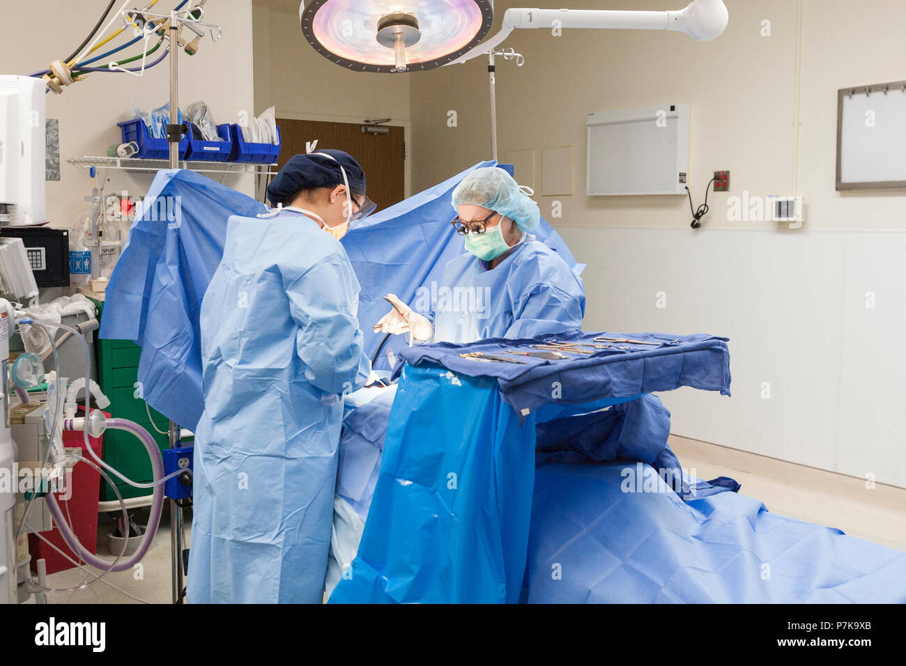 Surgical Procedure In Progress Stock Photo