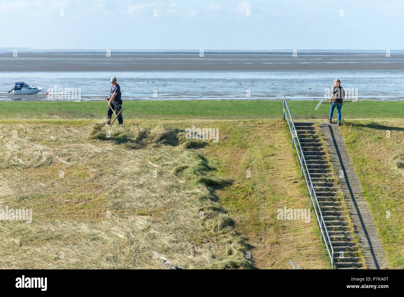 Germany, Lower Saxony, East Frisia, Juist, care of the protective dike