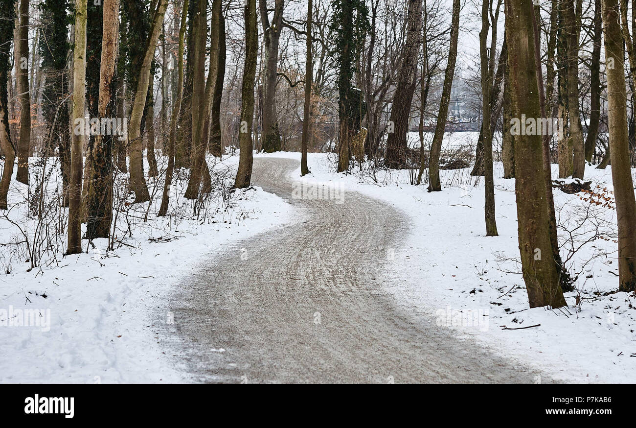 Forest road in winter Stock Photo