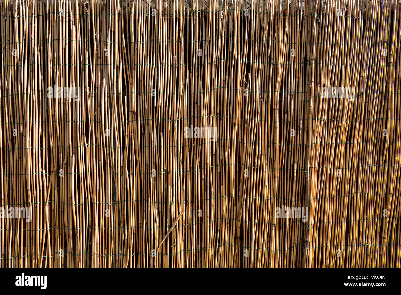 Rectangular pond divided by bamboo sticks and fenced with bamboo