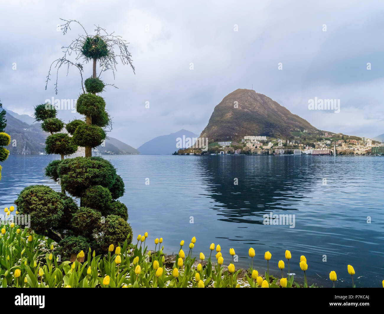 Japanese cypress on Lake Lugano with Monte San Salvatore in the background Stock Photo