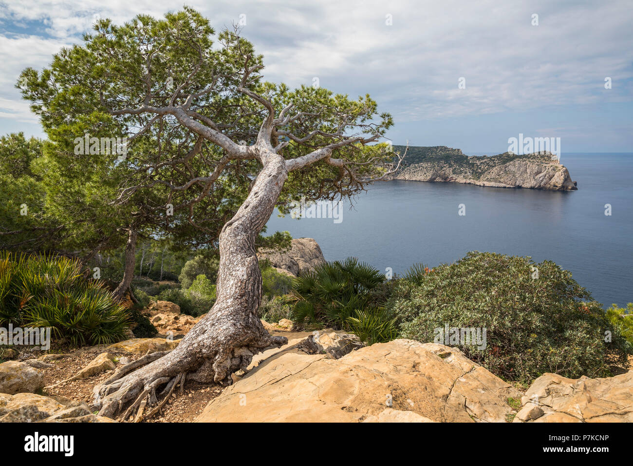 View from the West coast to the island Sa Dragonera (Dragon Island), near Sant Elm, Mallorca, Balearic Islands, Spain Stock Photo