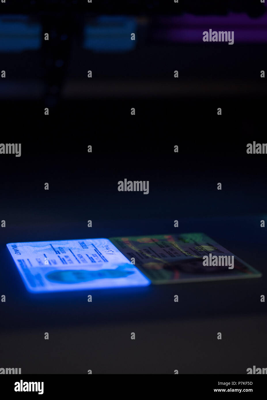 Fake Id Blacklight And Scan
