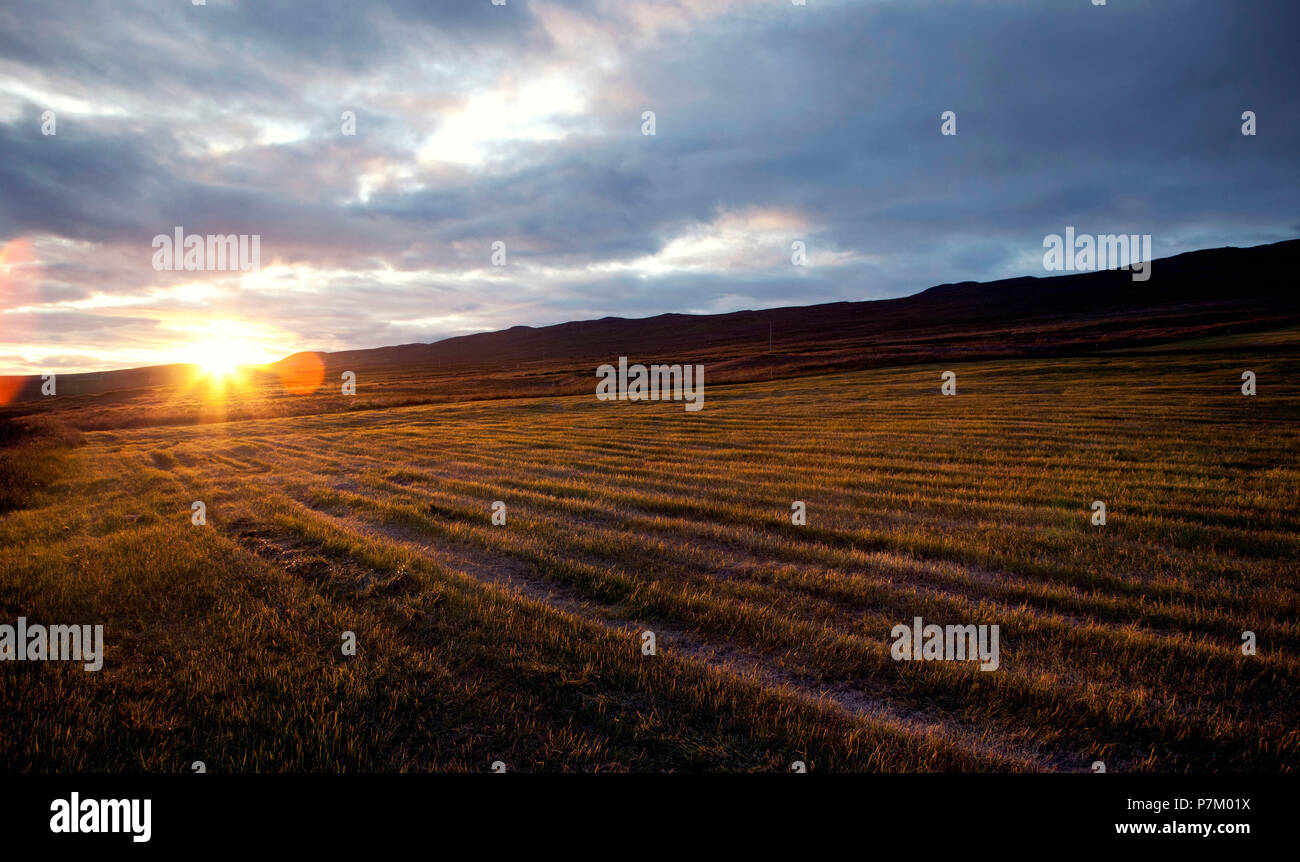 Hill, field, Svinavatn, Iceland, landscape Stock Photo