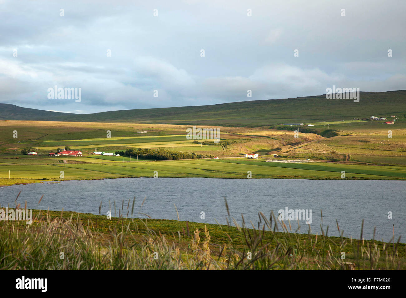 Hill, house, Svinavatn, Iceland, landscape Stock Photo