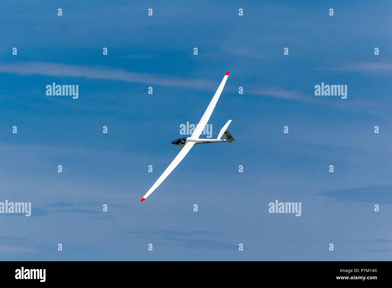 Aerial photo, gliding, single-seat performance glider DG 300, Hamm, Ruhr area Stock Photo