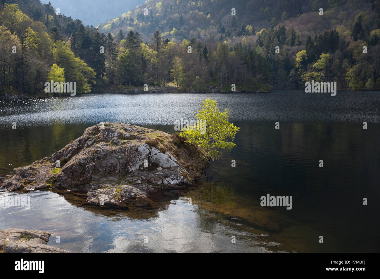 Idyllic Rocky Island In Mountain Lake Lac Dalfeld Vosges - 