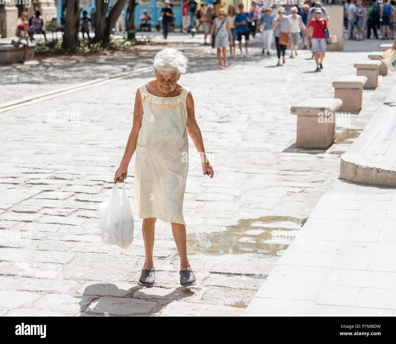 A sweet old woman carrying groceries to her home. Stock Photo