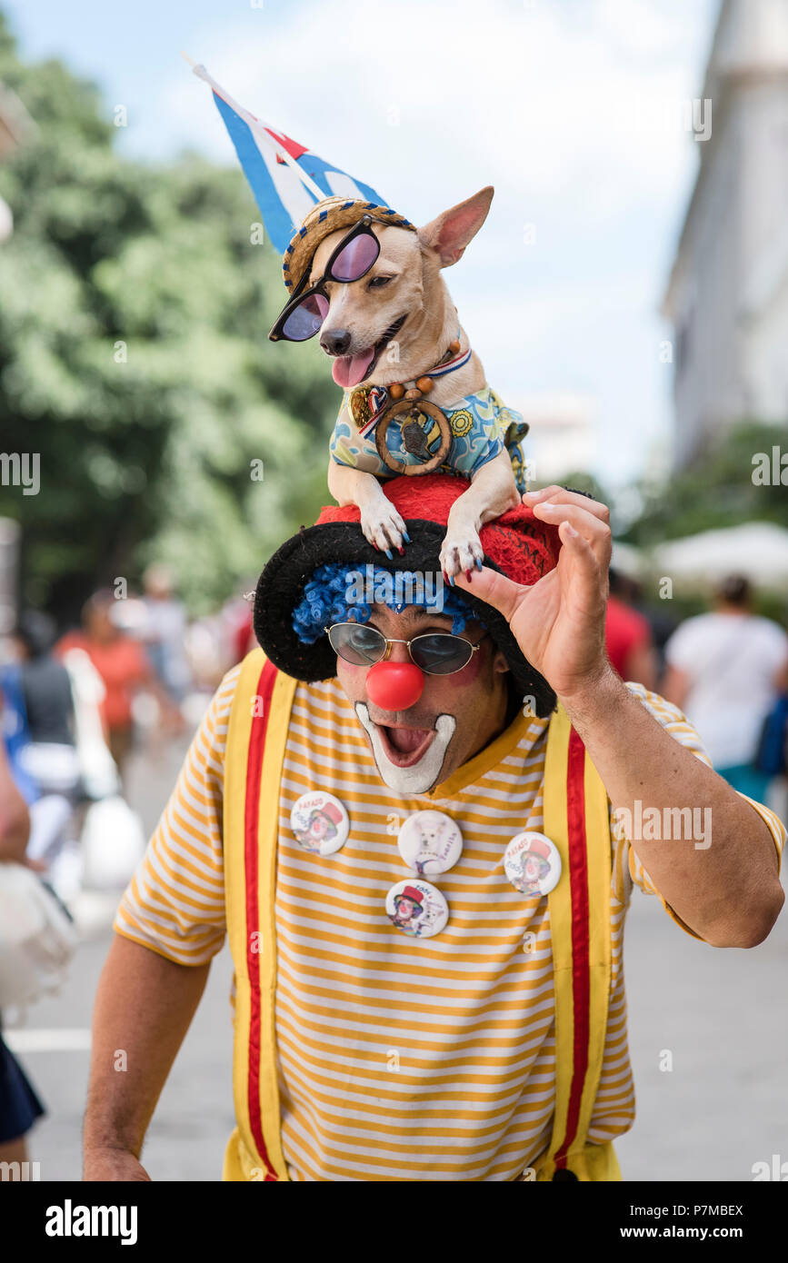 A clown and his dog entertaining tourists in a plaza in Havana. Stock Photo
