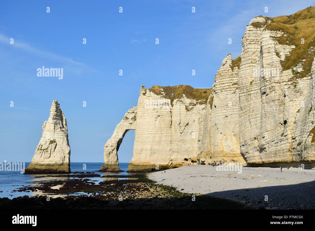 France, Seine Maritime, Caux, Alabaster Coast, Etretat, the Aval cliff ...