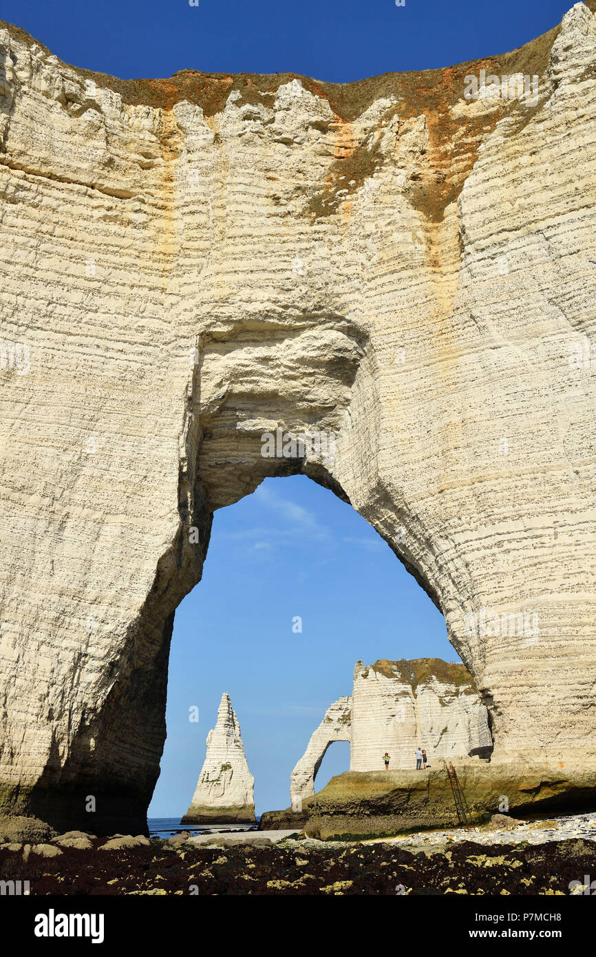 France, Seine Maritime, Caux, Alabaster Coast, Etretat, the Aval cliff ...