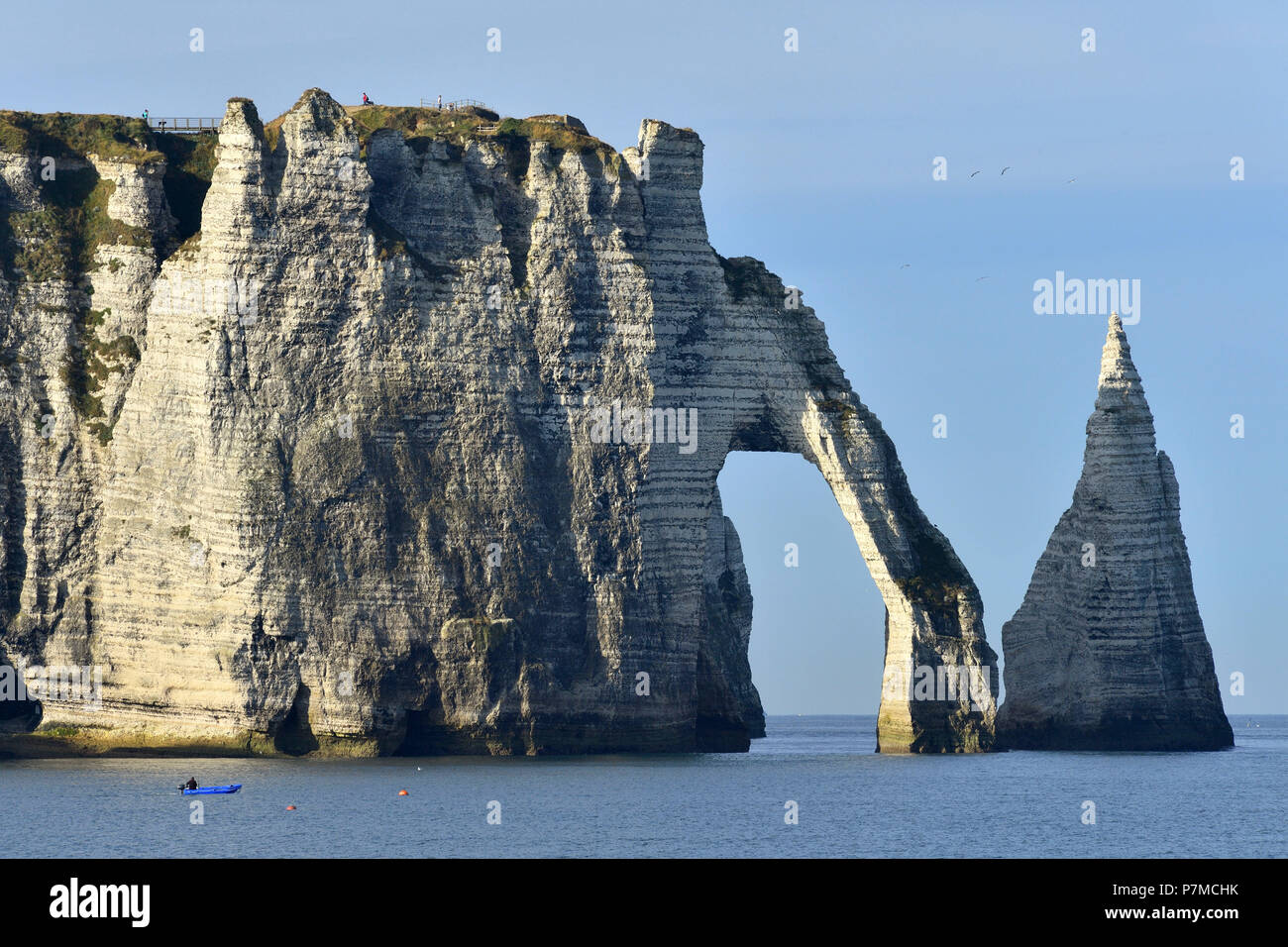 France, Seine Maritime, Caux, Alabaster Coast, Etretat, the Aval cliff ...