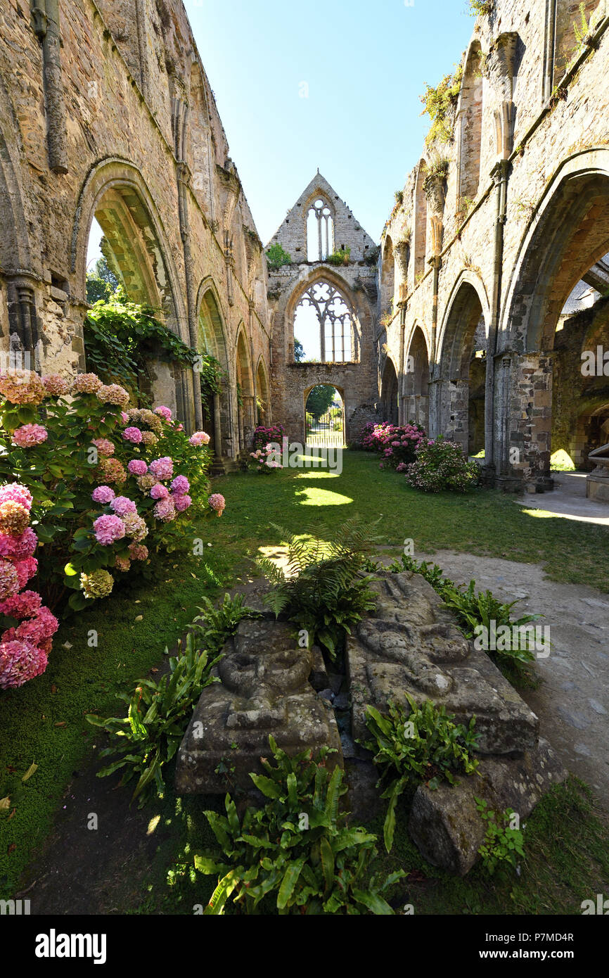 France, Cotes d'Armor, stop on the Way of St James, Paimpol, Beauport abbey 13th century, inside the abbey church, recumbent figure of Kergozou lords Stock Photo