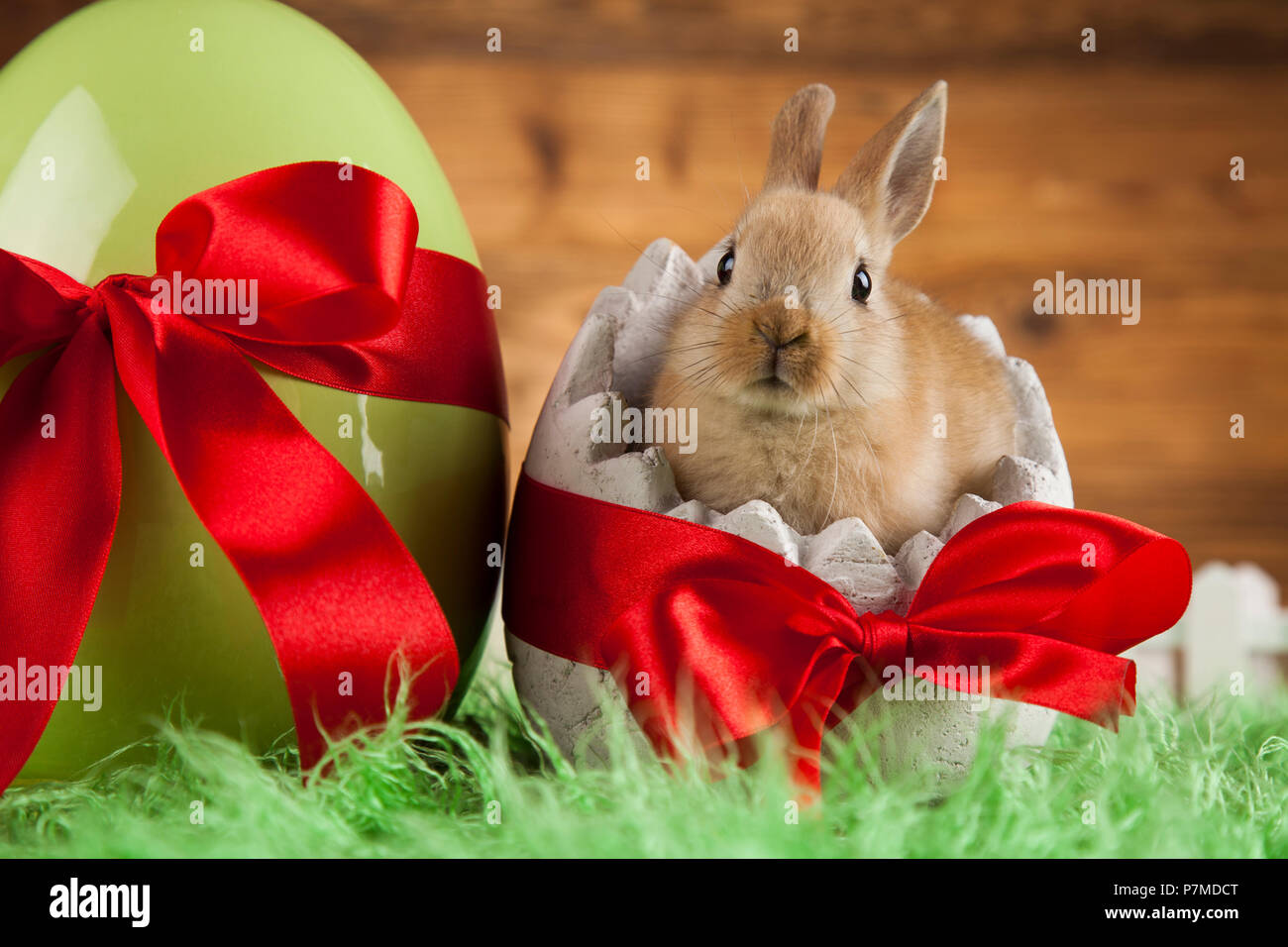 Little Easter bunny Stock Photo Alamy