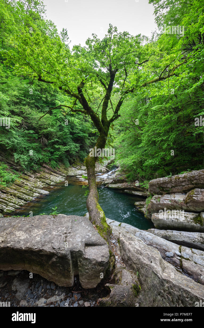 Breggia river hires stock photography and images Alamy