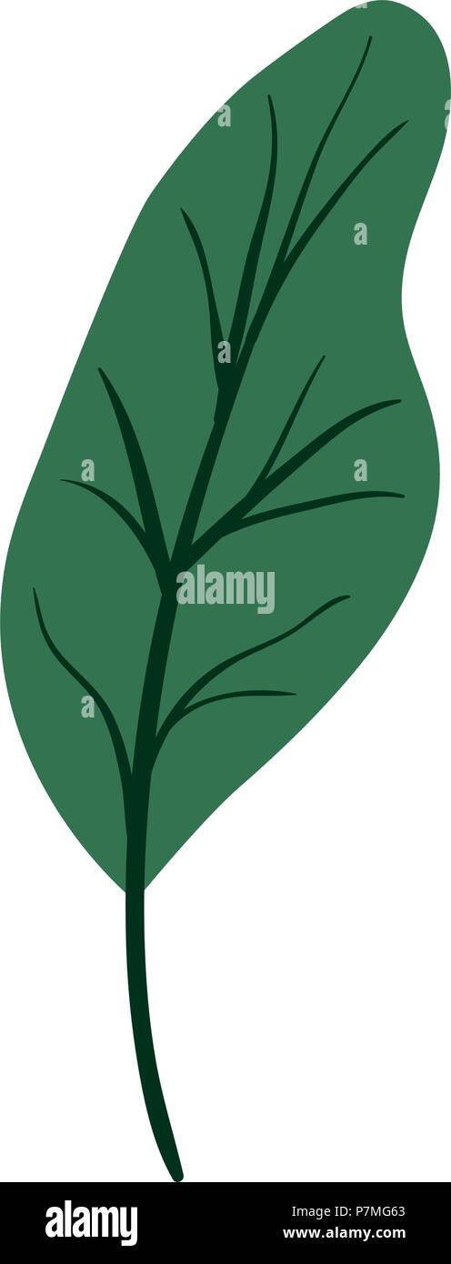 leaf plant ecology icon Stock Vector Image & Art - Alamy
