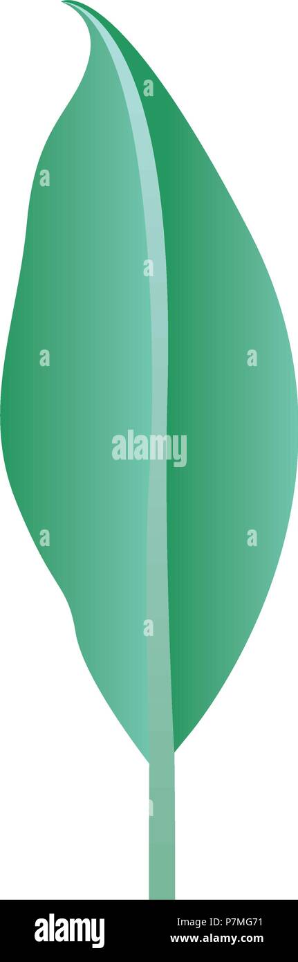 leaf plant ecology icon Stock Vector Image & Art - Alamy